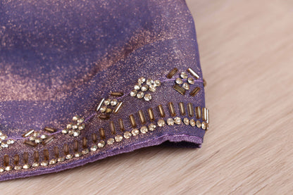Neel Tara Gota Tissue Silk Saree