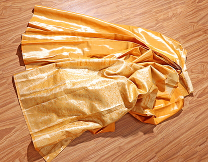 Golden Aura Pure Silk (Pre- Draped )Saree (New 223-R-223)