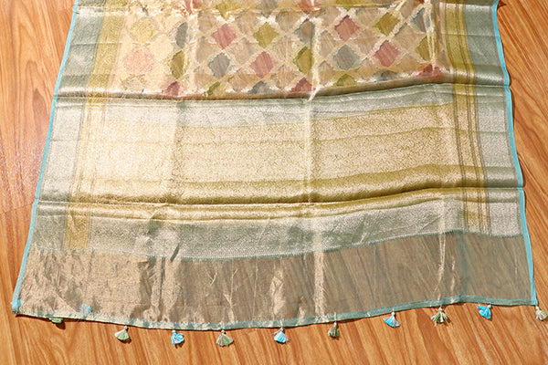 Neelvana Banarasi Tissue Saree (New 234-R-233)