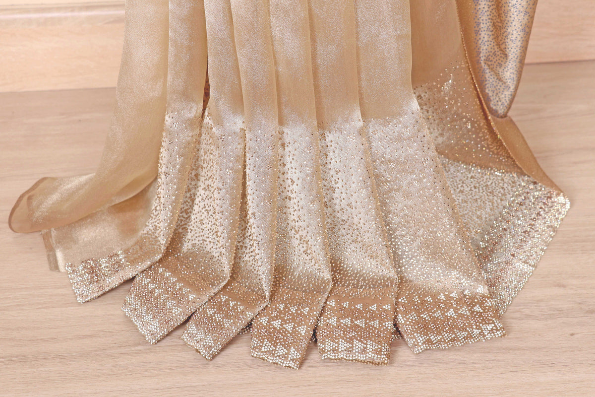 Champagne Gold Tissue Silk Saree with Silver Zari Chevron Geometric Border and Gold Tassels | 1028