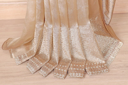 Champagne Gold Tissue Silk Saree with Silver Zari Chevron Geometric Border and Gold Tassels | 1028