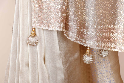 Champagne Gold Tissue Silk Saree with Silver Zari Chevron Geometric Border and Gold Tassels | 1028