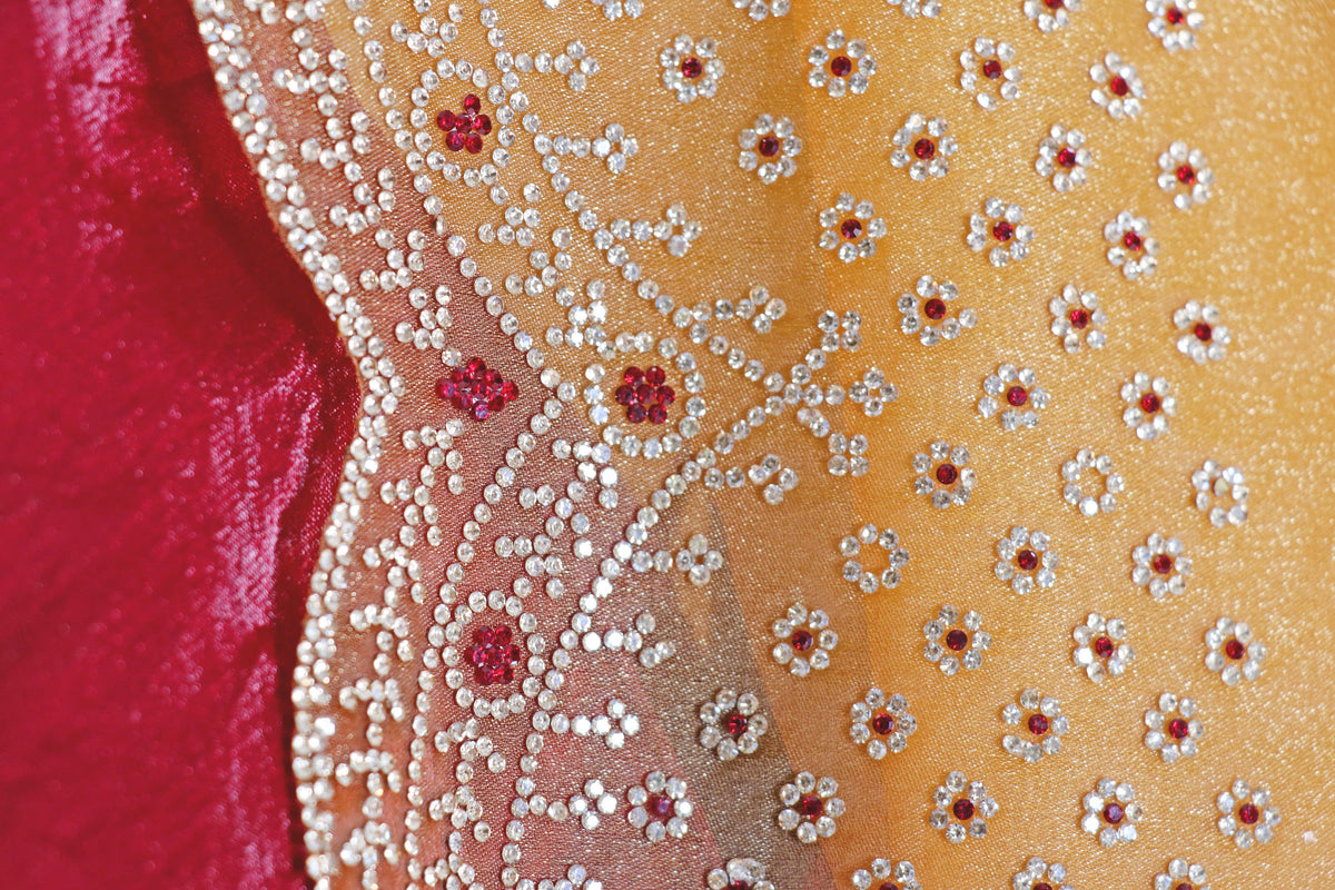 Gold Tissue Organza Saree with Silver Bead Branch Embroidered Pallu and Pearl Sequin Scalloped Border | 1029