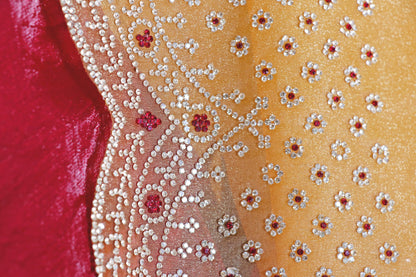 Gold Tissue Organza Saree with Silver Bead Branch Embroidered Pallu and Pearl Sequin Scalloped Border | 1029