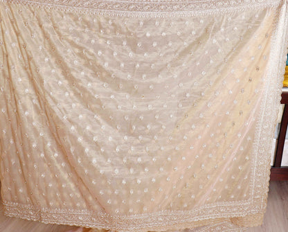 Cream Beige Tissue Organza Saree with All-Over Silver Thread Floral Butti Embroidery and Matching Border | 1035
