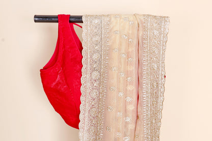 Cream Beige Tissue Organza Saree with All-Over Silver Thread Floral Butti Embroidery and Matching Border | 1035
