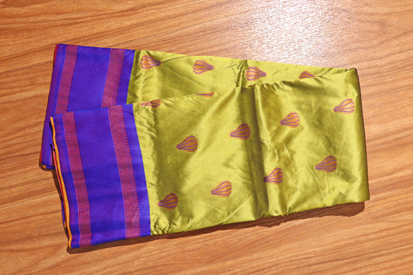 Divine Radiance Paithani with Ganapati Pallu  (New 267-R-262)