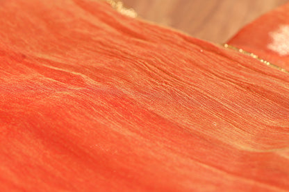 Amber Blaze – Shimmer Chiffon Saree (New 328-R-322)