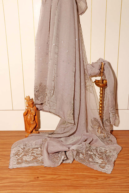 Moonlit Grace – Grey Cutwork Crushed Tissue Organza Blend Saree 018