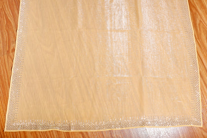Champagne Radiance Saree 511