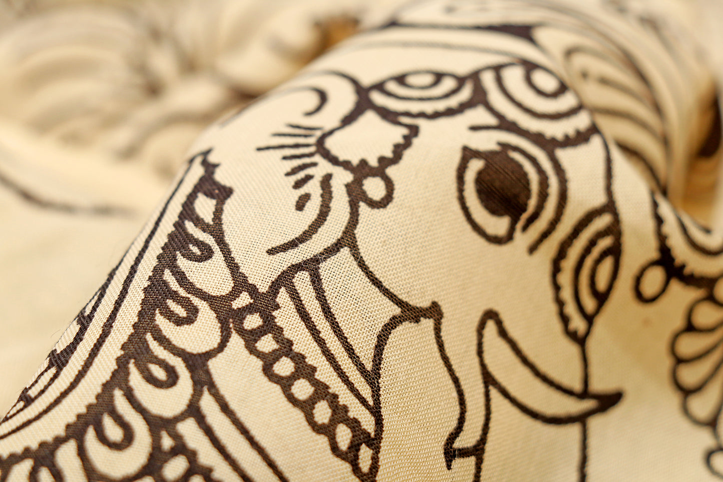 Shwet Kalakaari  Pen Kalamkari Saree 519