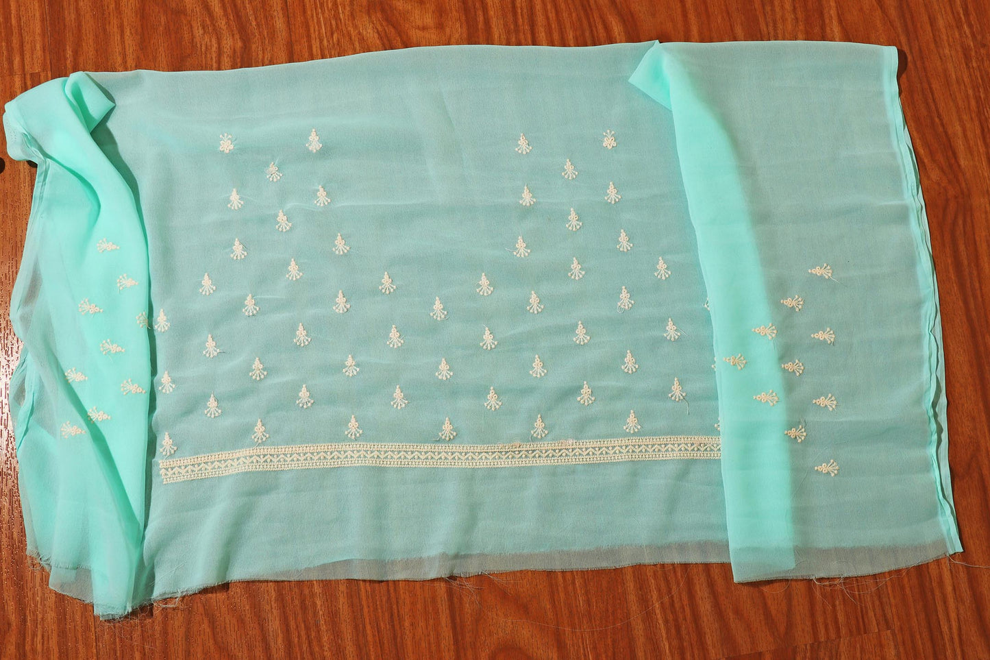 Pista Green Lucknowi Embroidered Chiffon Saree with Scalloped Detailing 103